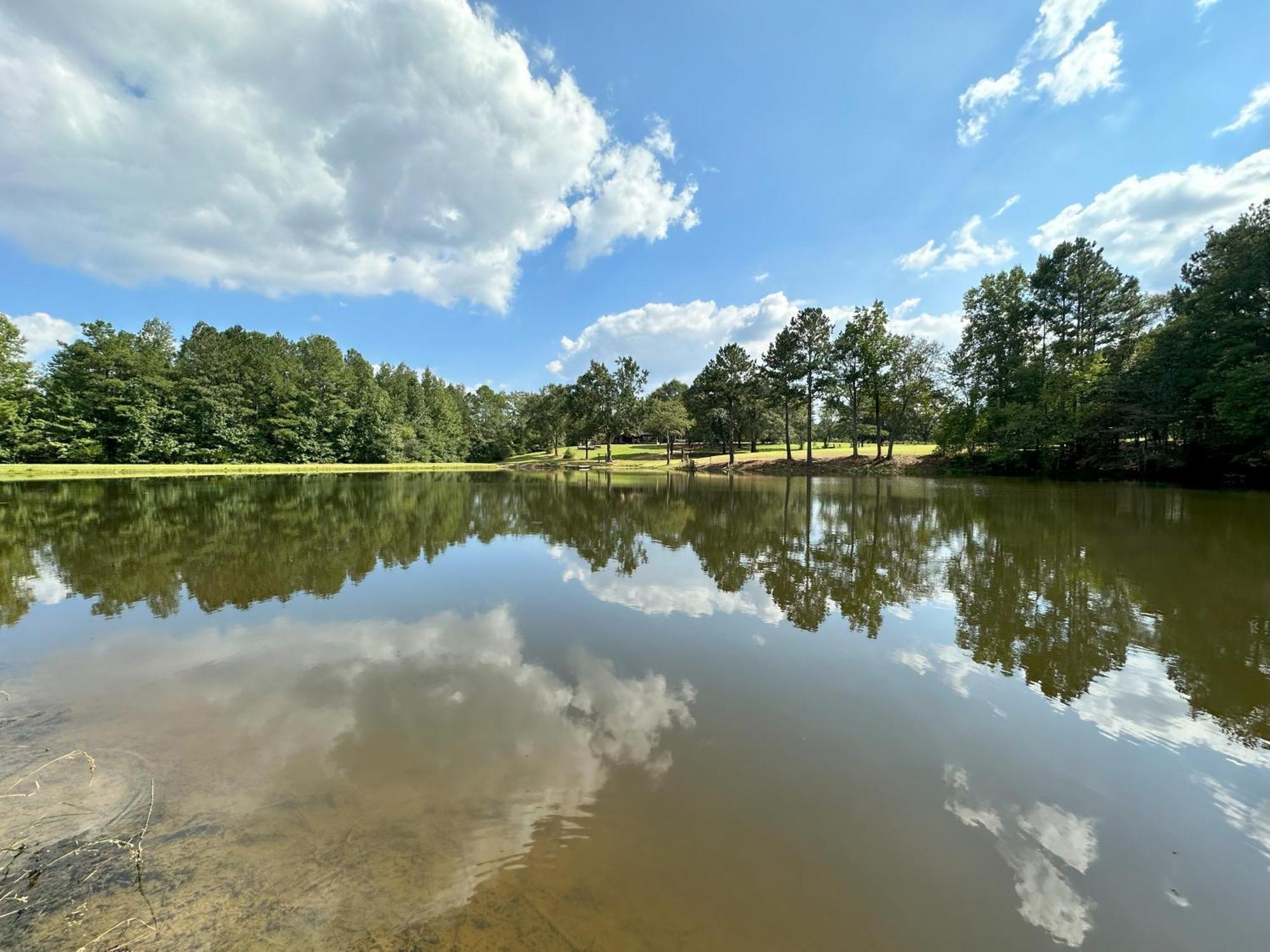Refuge Ranch Retreat Log Cabin Lake 53+ Acres Locust Grove Exterior photo